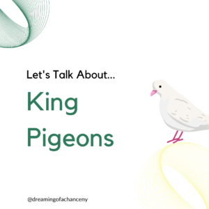 king pigeon info