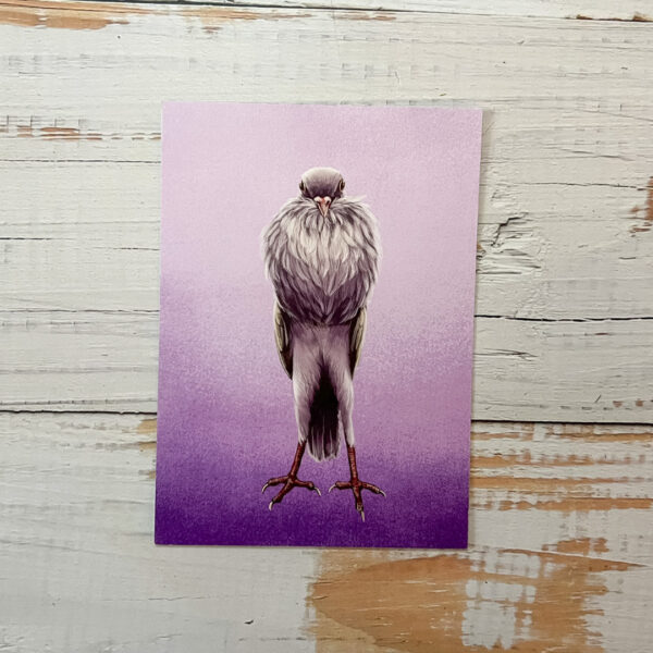 Print of Dante who is a Powder Pigeon! Showing off his puffy chest.