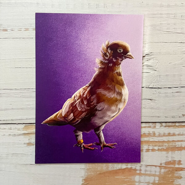Print of fancy pigeon Nutella