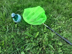 Pigeon plush with a net on the grass